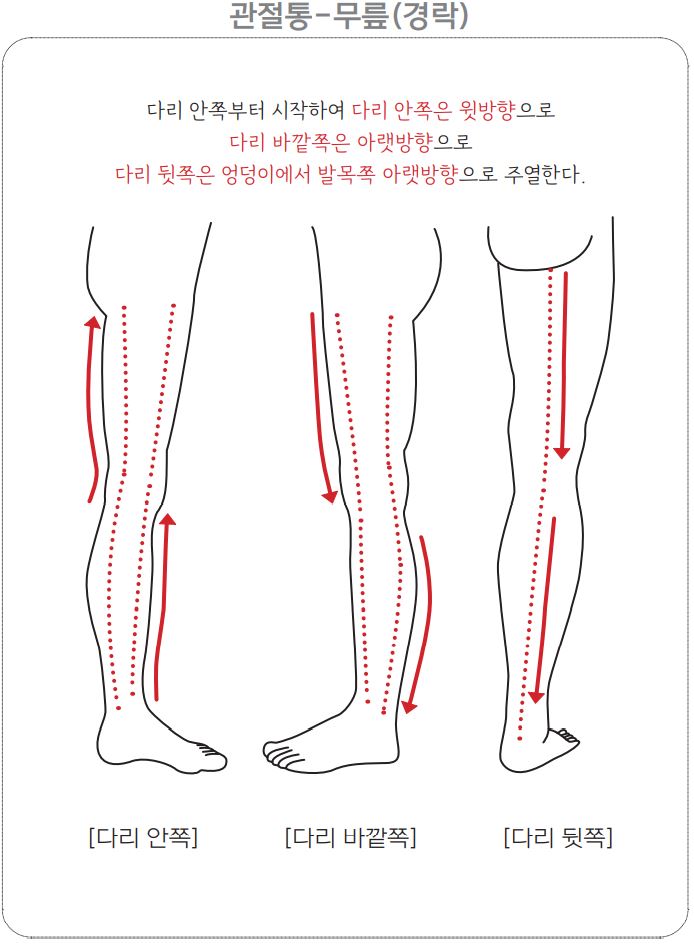 무릎