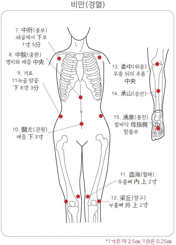비만