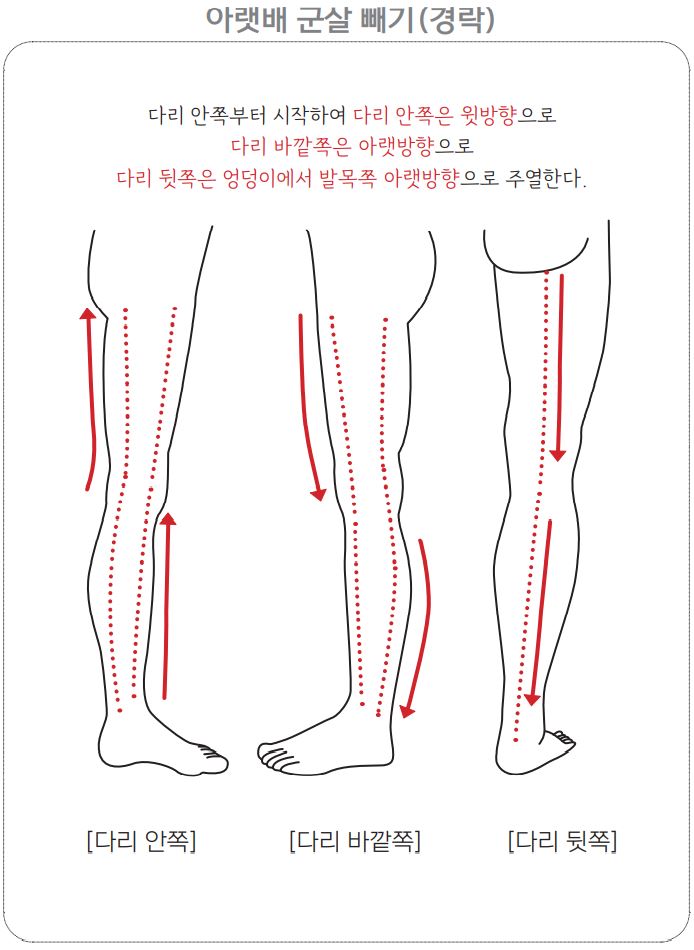 아랫배