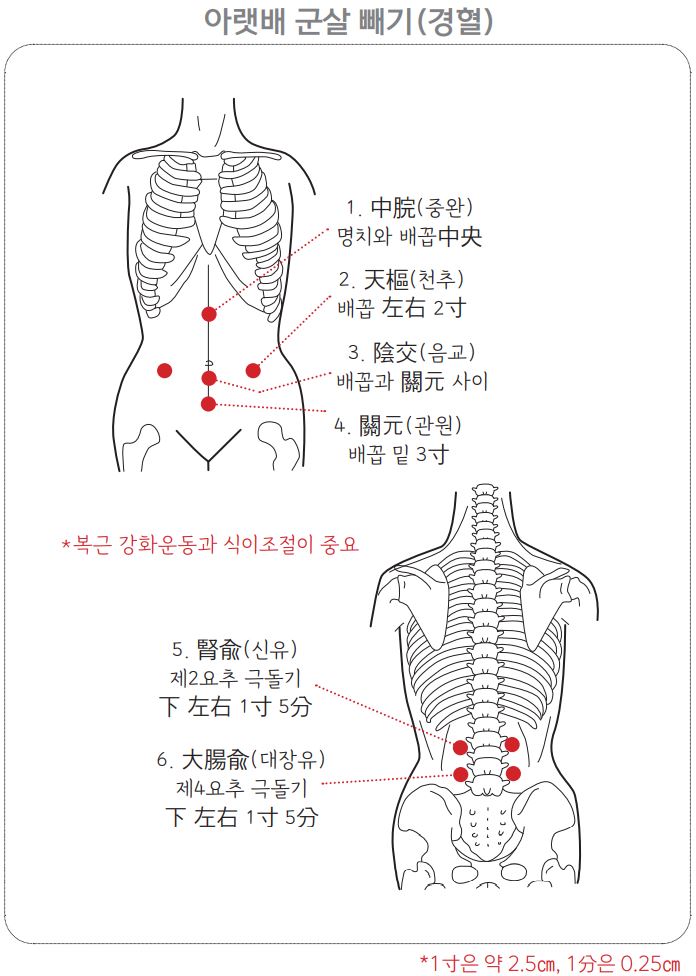 아랫배