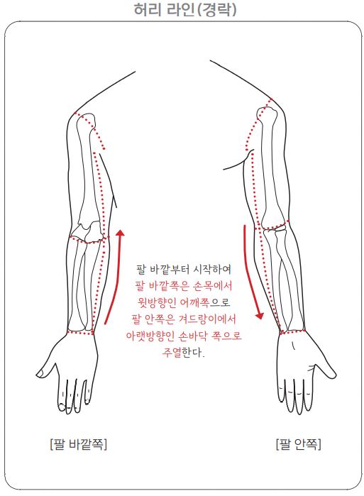 허리라인