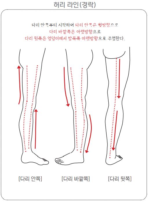 허리라인