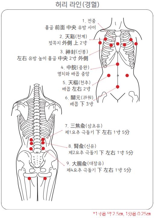 허리라인