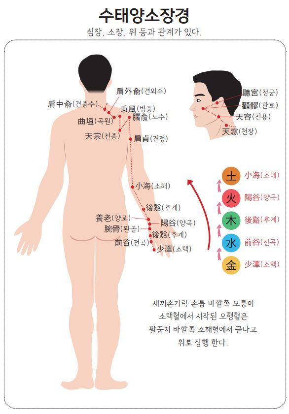 화